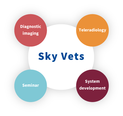 Highly spectialized medical care Teleradiology Diagnostic imaging seminar System development Sky Vets